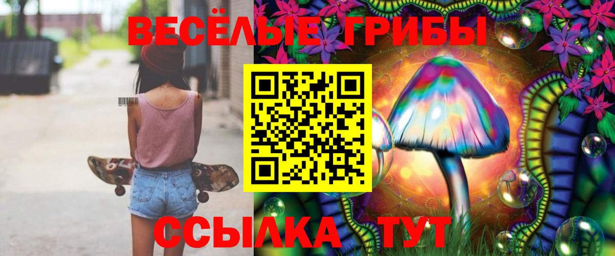 Псилоцибиновые грибы мухоморы  Вход с VPN  как найти наркотики  Кунгур 