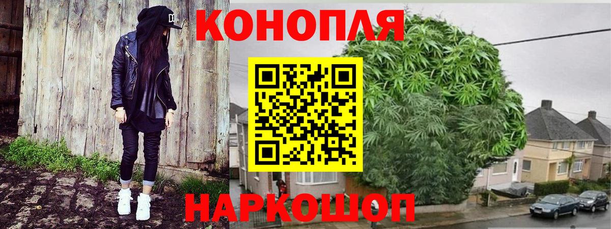 Канабис индика Кунгур